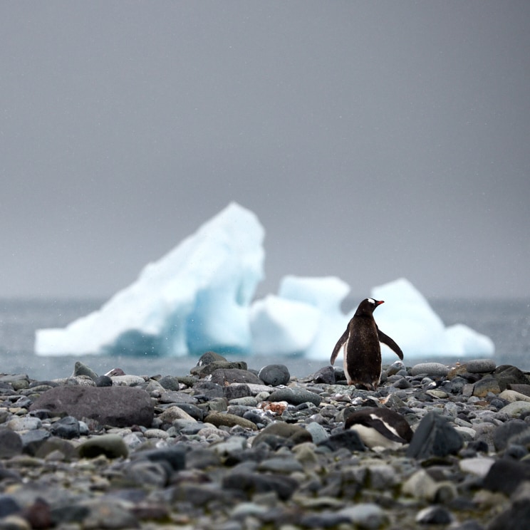 Antarctica